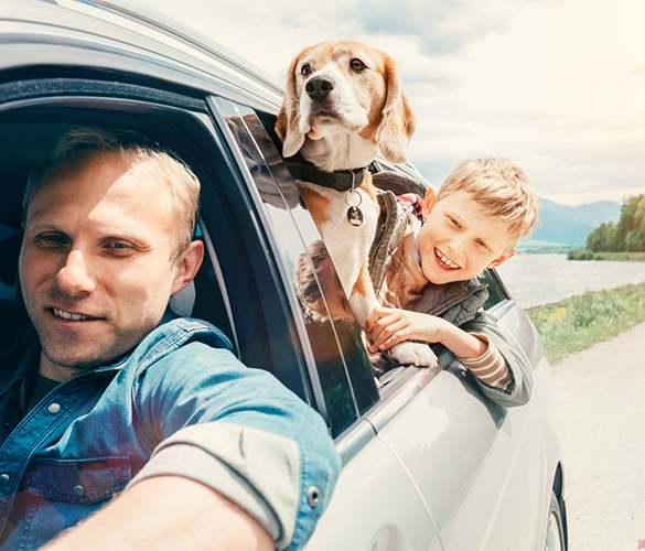 Auto Insurance