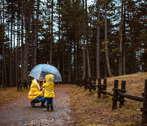 Umbrella Insurance